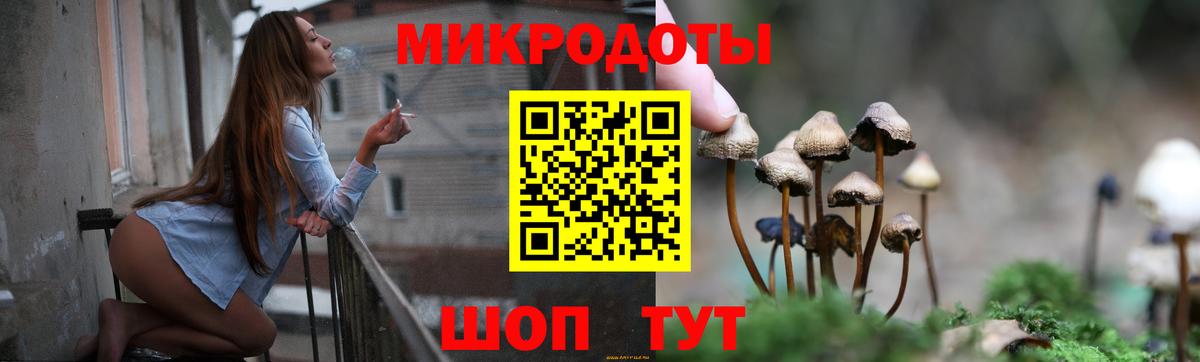 Псилоцибиновые грибы Psilocybe Джанкой